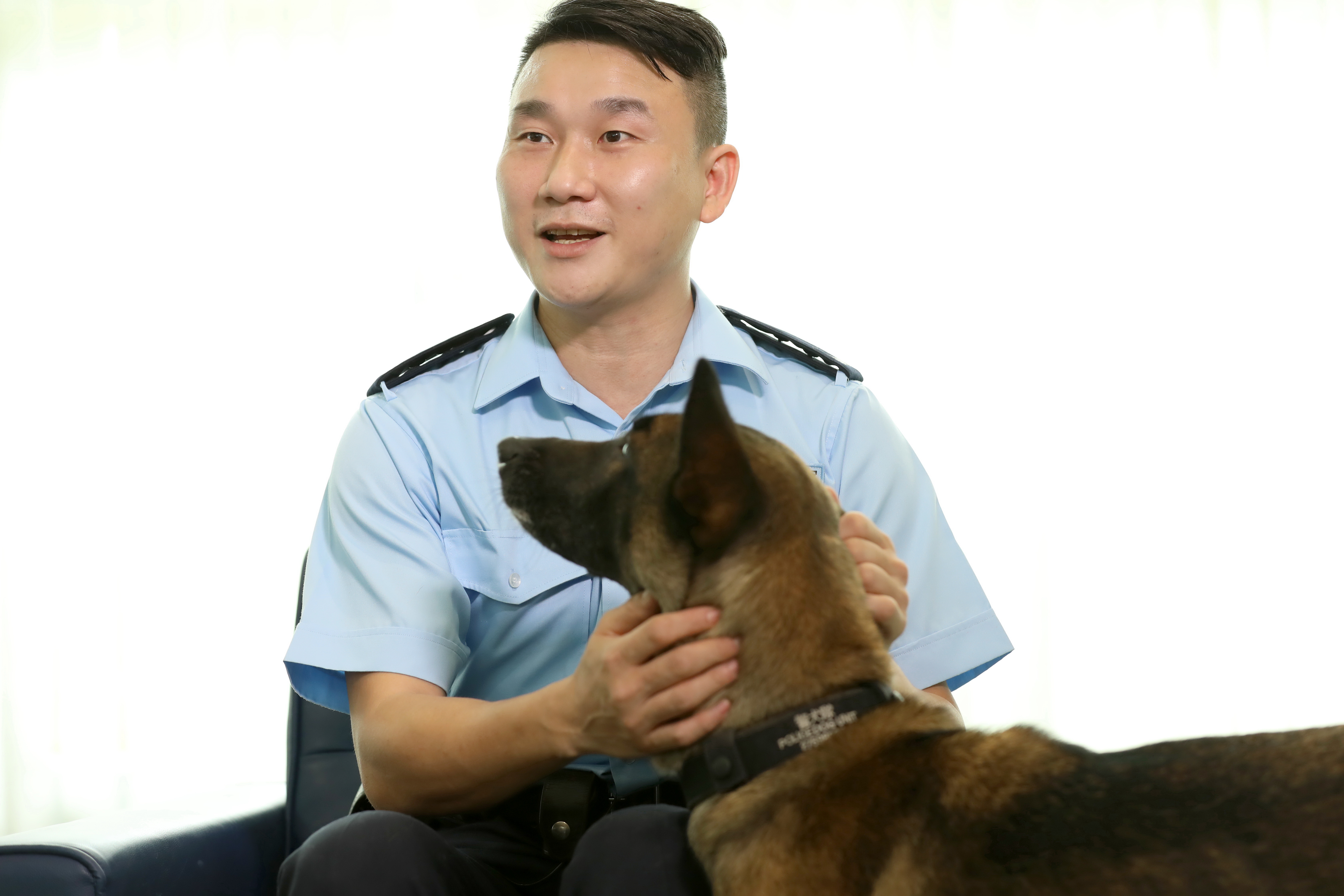 现实版“一只犬的使命” 狗年探秘涪陵区公安局警犬基地