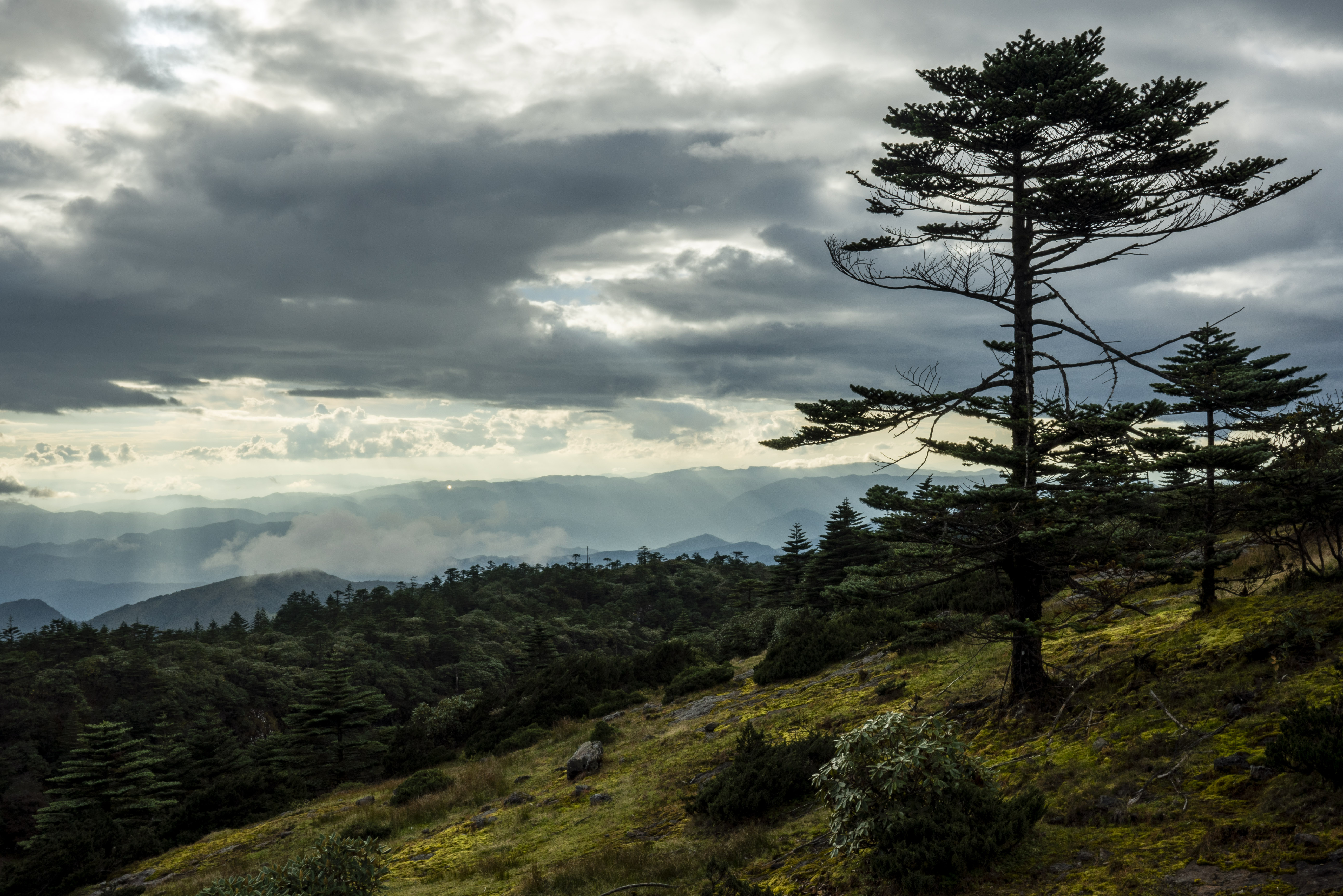 秋至轿子山 云雾缭绕 景色迷人 京报网
